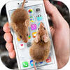 ��Ļ����ʾ����app