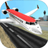 Real City Airplane Flying Pilot(�߿շ���ģ����)