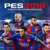 ʵ������2018�ȴ��г���÷���沿����