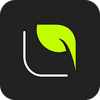 ��ȷ�˶�