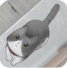 StrayCatDoors(��·��Сè����С��ͬ����)