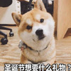 2018ʥ����Ҫ��������