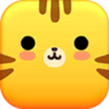 ץ�ִ���app