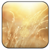 �ֱ�ֽapp