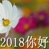 2018��þ���ͼƬ