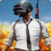 ^PUBGӼ2.0