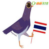 Trash Doves������gif�����