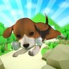 Little Doggy Run(���ܰ�����)