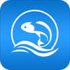 �ڿ�app