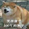 �޵����200��ĺ��ӱ����