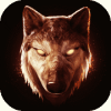The Wolf(���庺����)