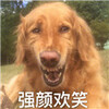 dogeĿ�ɹ��������