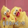 ����һ������
