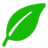 ��ҶVIPv1.6 �Ż���