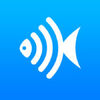 ����app