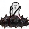 ����������ϵ�б����