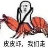 XXX������ϵ�б����