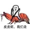 ƤƤϺ�����߱���ͼƬ