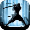 Shadow Fight 2(Ӱ2°)