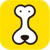 �����罻app