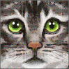 UltCatSim(�ռ�èģ������Ѱ�)