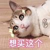 ��Ҫ������������������������ˮӡ��