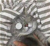 ����Ǯ�ɱ���˫��è������