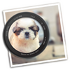 Photo Blur FX mac��