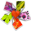 arcsoft photo+ for mac �����ƽ�