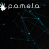 ��÷��PAMELAʮ���޸���