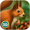 Squirrel Animal simulator(����ģ�������޽�Ұ�)