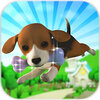 Little Doggy Run(С��������3D����)