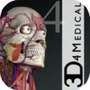 Essential Anatomy 4 mac