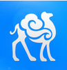 ����APP