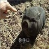 ��ס�ں�������������