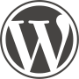 WordPress5.2.4İ°