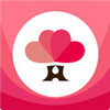 ����app
