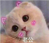 Ů������ר�ñ������ˮӡ��