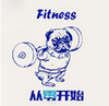 Fitness��