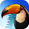 Bird Paradise(������ð�׿������)