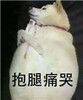 �����˸�Ц�������ˮӡ��