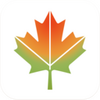 ʶ��app