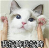 è��ɰ��������ˮӡ��