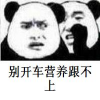 �𿪳�Ӫ��������gif