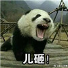 ������ȫ�ױ������ˮӡ