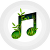 �ҵķ�������app