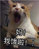 ���Ҷ��˱������ˮӡ��