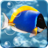 �ȴ�ˮ��ݶ�̬��ֽapp