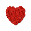 �Ŷ�ף������(������Ļ��������)