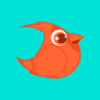����ʱ��app